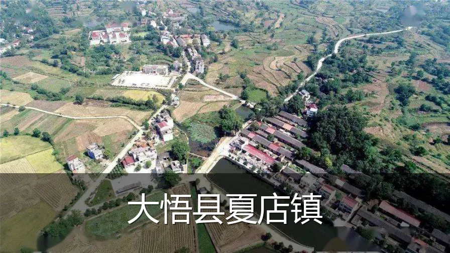 大悟县夏店镇
