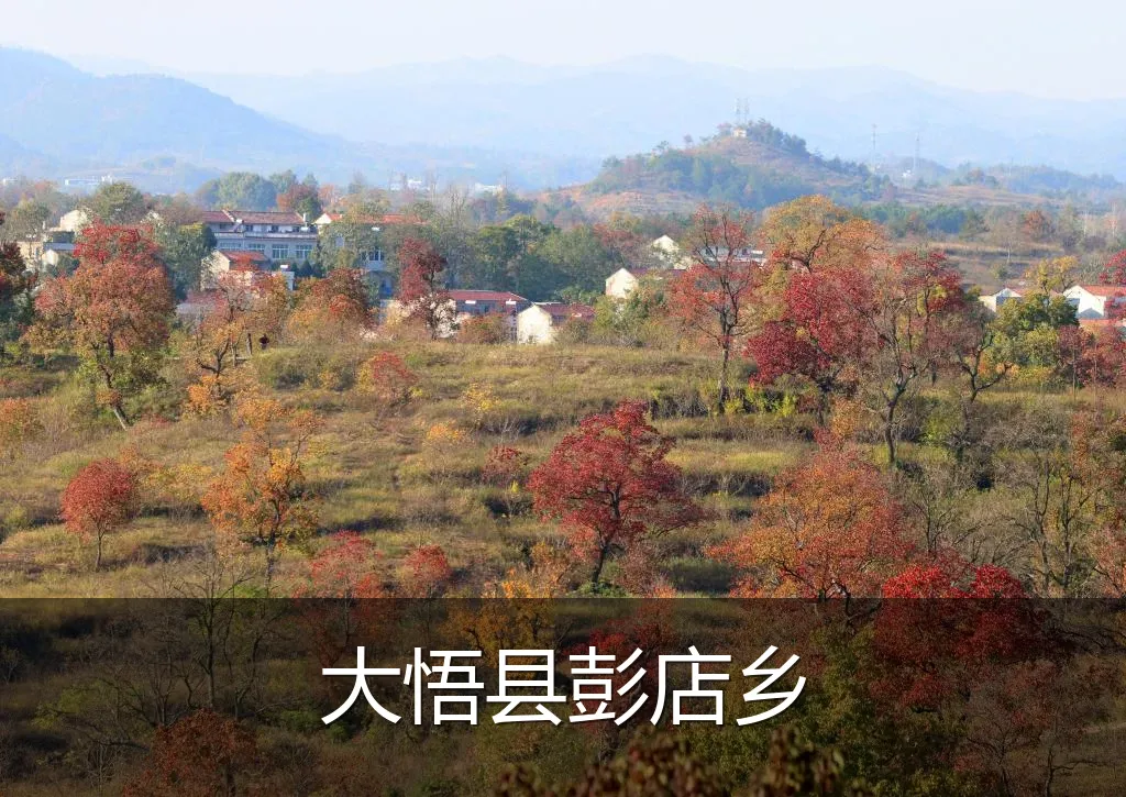 大悟县彭店乡
